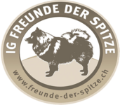 logo freude-der-spitze